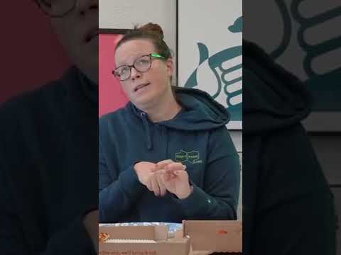 This Week In Za - Lindsey - Paper Prank
